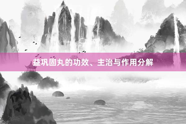 益巩固丸的功效、主治与作用分解